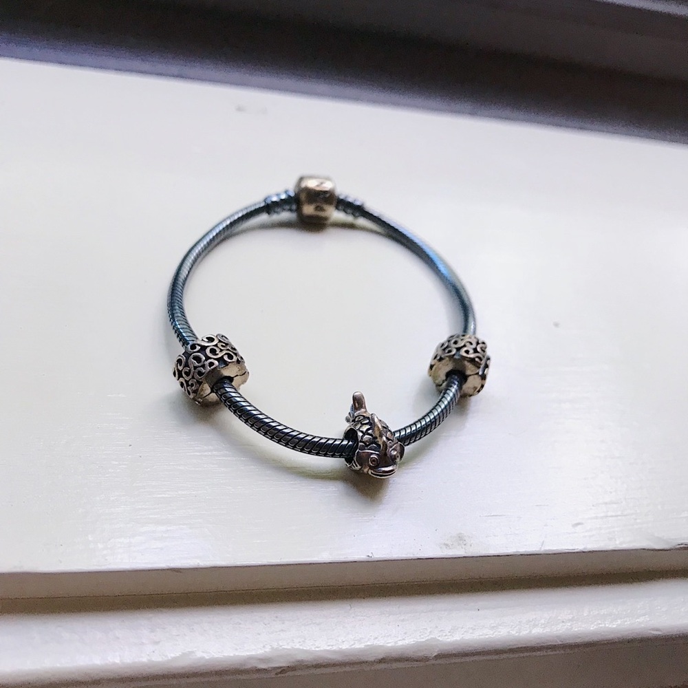 Pandora Oxidized silver charm bracelet